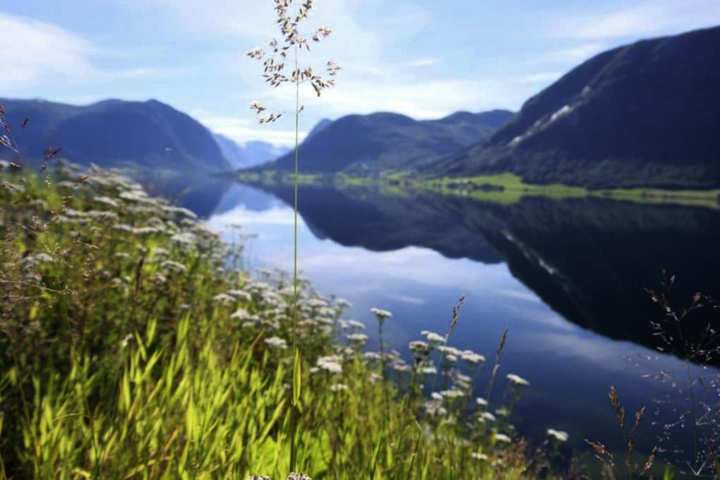 Jolster Lake View Årdal Extérieur photo
